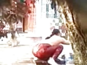 कुतिया को गधे में मुश्किल से मिला